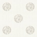 D&D COLLECTION VOL.11  65244-1 - Image 2