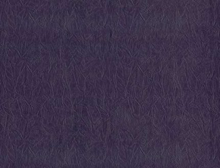 LEATHER SENSATION CM16045