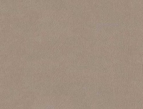 LEATHER SENSATION CM16071