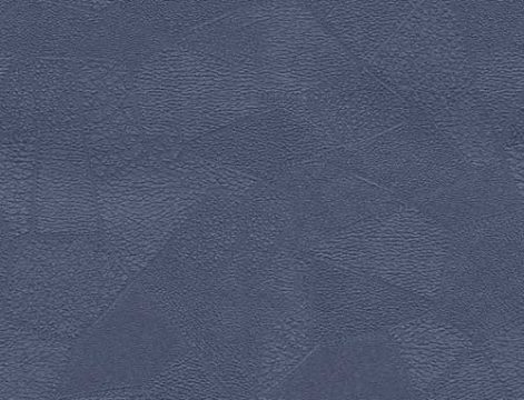 LEATHER SENSATION CM16081