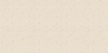 SPECIAL SENSITIVE STYLE VOL.1 10017-2 - Image 2