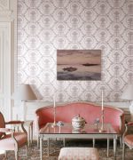 D&D COLLECTION VOL.11  65242-2