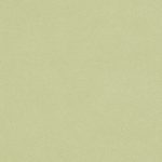 BARBARA BECKER PT.5 479461