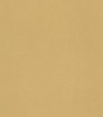 BLACK FOREST 514049 - Image 2