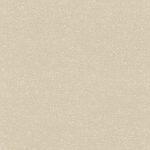 BLACK FOREST 514117 - Image 2