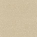 BLACK FOREST 514124 - Image 2