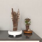 CAMEO 03835-10