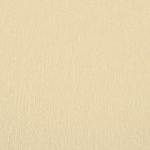 CAMEO 42042-50 - Image 2