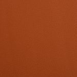 COSMOPOLITAN 576009 - Image 2