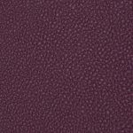 COSMOPOLITAN 576085 - Image 4