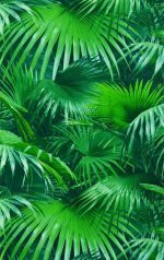 CRISPY PAPER / MANDALAY 524901