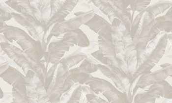 DARAE4 1815-1 - Image 2