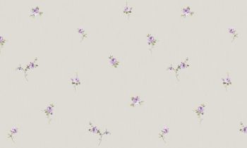 DARAE4 1823-3 - Image 2