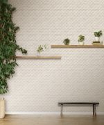 D&D VOL.11 / ABI IMAGINATION  65237-2