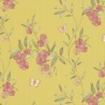 D&D COLLECTION VOL.11  65240-2 - Image 2