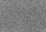 ELYSIUM 5731-4 - Image 2