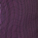 ETAM 71604 - Image 4