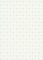 FREESTYLE 5408-01 - Image 7