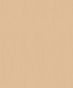 GINA'S 53839 - Image 2