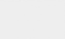 GNI AVENUE 2021/22 77264-1