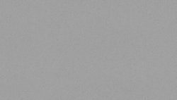 GNI AVENUE 2021/22 77281-4