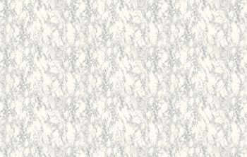 GNI RAUM 81174-1