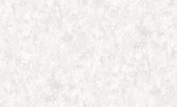 GNI ZENITH 81198-1 - Image 2