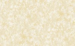 GNI ZENITH 81198-4 - Image 2