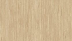 GNI ZENITH 81203-3