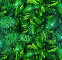 HERA VOL.5 6044-1 - Image 2