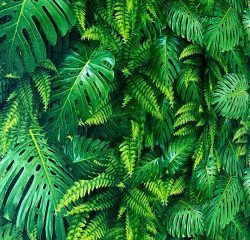 HERA VOL.5 6044-1 - Image 3