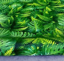 HERA VOL.5 6044-1 - Image 6