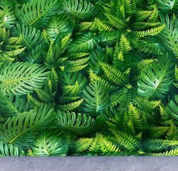 HERA VOL.5 6044-1 - Image 4