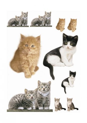 KOMAR STICKER 17010 - Image 2