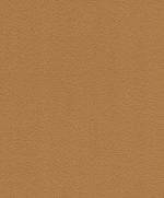 KIDS CLUB 469066 - Image 2