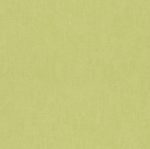 KIDS & TEENS VOL. II   - 247459 - Image 2