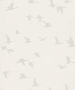 KIDS & TEENS VOL. II   - 503340