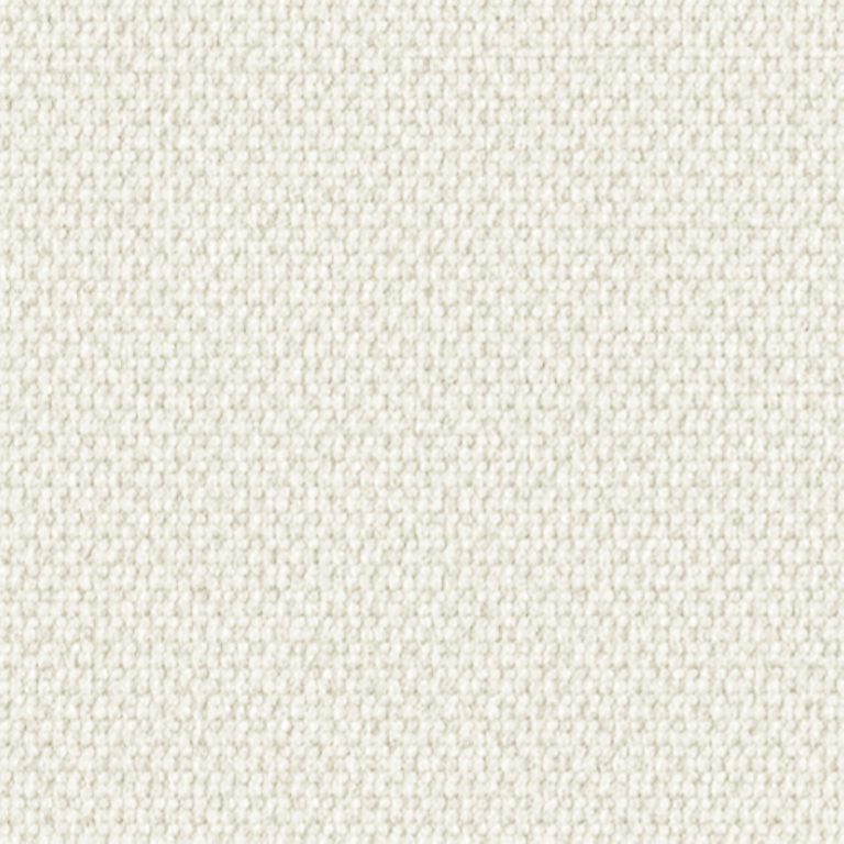 PLAIN THE COLOR 409-2