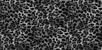 POLARIS VOL.2  711-1 - Image 2