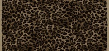 POLARIS VOL.2&3  711-2 - Image 2