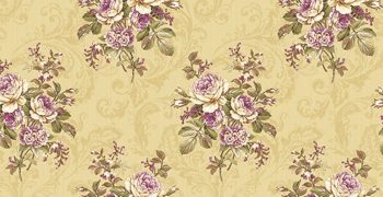 POLARIS VOL.3  751-3 - Image 2