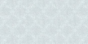 SCARLET 88361-3 - Image 6