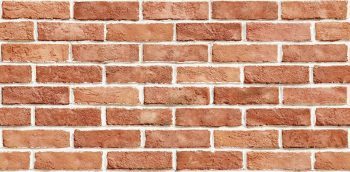 SERENITY 10182-2 - Image 2