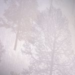 SIGNATURE EUROPE 6786-30 - Image 5