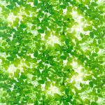 SIGNATURE KOREA 10201-1 - Image 2