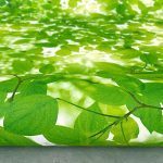 SIGNATURE KOREA 10201-1 - Image 5