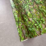 SIGNATURE KOREA 10203-1 - Image 4