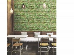 SIGNATURE KOREA 10203-1