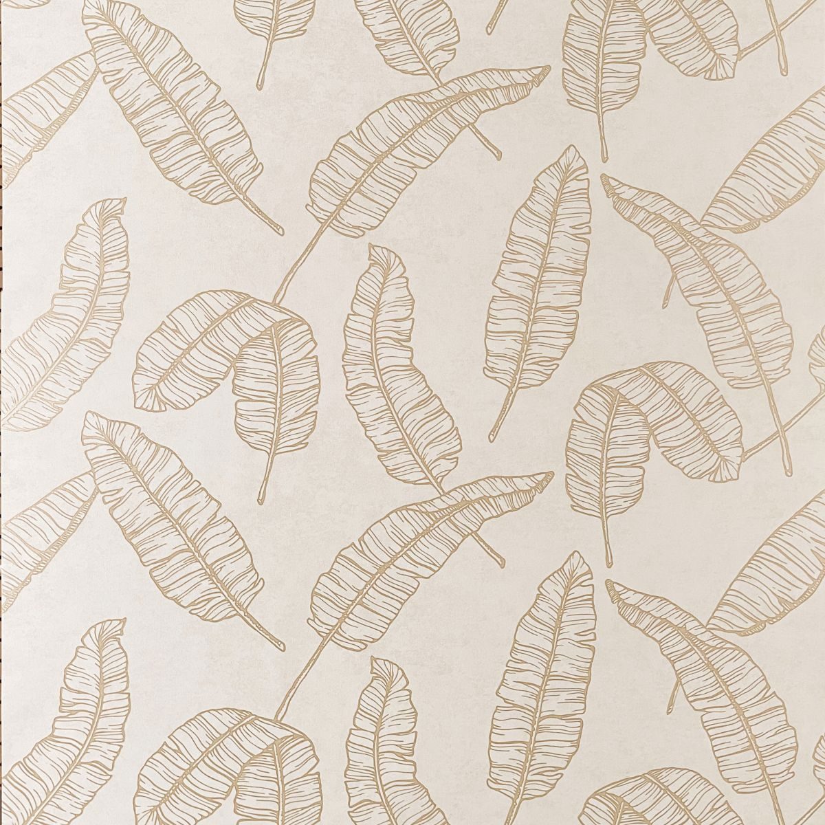 SIGN-K-10220-3 SIGNATURE KOREA 10220-3 - Image 1