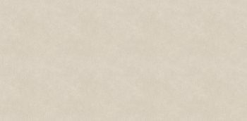 STELLA II  - 10179-3